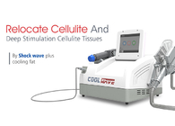 Cryolipolysisの減量のための脂肪質の凍結機械が付いている携帯用衝撃波療法機械