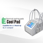 Cryolipolysisの減量のための脂肪質の凍結機械電気Muslceの刺激機械美機械