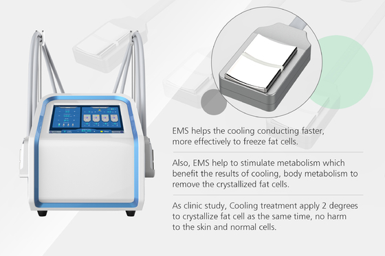 4ボディ細くのためのハンドル30Hz Cryolipolysis EMS機械