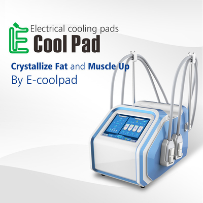 4ボディ細くのためのハンドル30Hz Cryolipolysis EMS機械