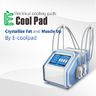 EMSの頻度30HZ Cryolipolysis脂肪質の凍結機械