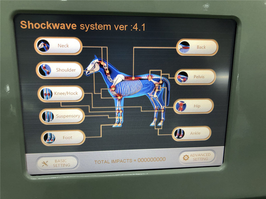 放射状のExtracorporeal馬の衝撃波の物理療法機械