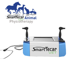 ペット馬犬猫の痛みの軽減のための携帯用獣医の物理療法のTecar療法機械