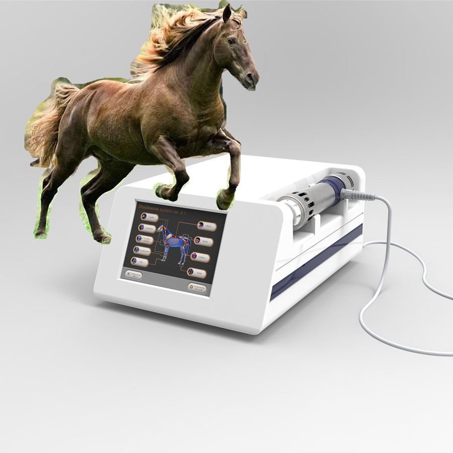 放射状のExtracorporeal馬の衝撃波の物理療法機械